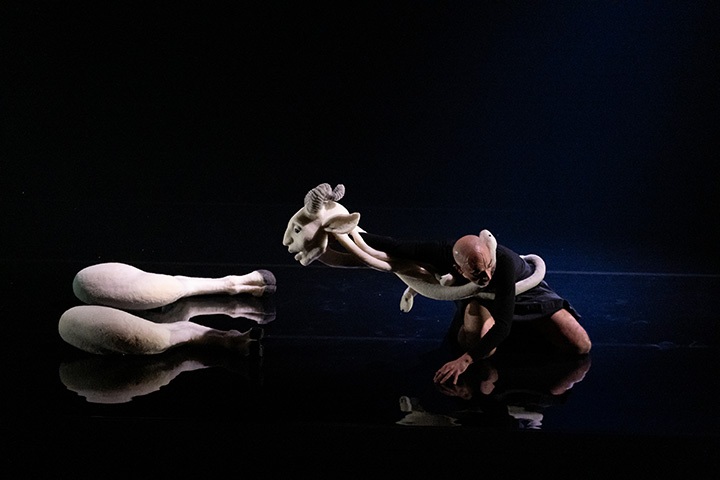 Thomas Noone Dance: "IMPOSTOR"